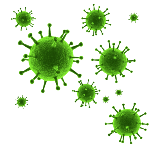 pngwing.com-2 (kopie 7).png