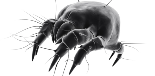 pngwing.com-2 (kopie 8).png